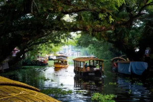 Traditional Kerala houseboats navigating a lush river under a canopy of trees, a highlight of Kerala tour packages