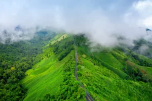 Aerial view of Wayanad’s green valleys and hills, one of the best hill stations to visit in Kerala.